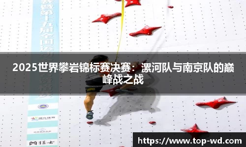 2025世界攀岩锦标赛决赛：漯河队与南京队的巅峰战之战